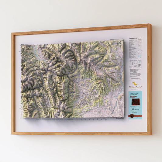 Jackson, Wyoming - 1981-Historical Topographic-Wall Map-ModernCarto
